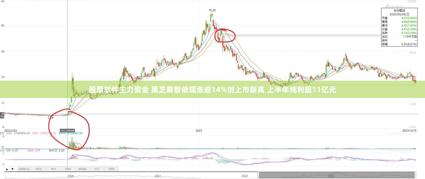 股票软件主力资金 黑芝麻智能现涨逾14%创上市新高 上半年纯利超11亿元