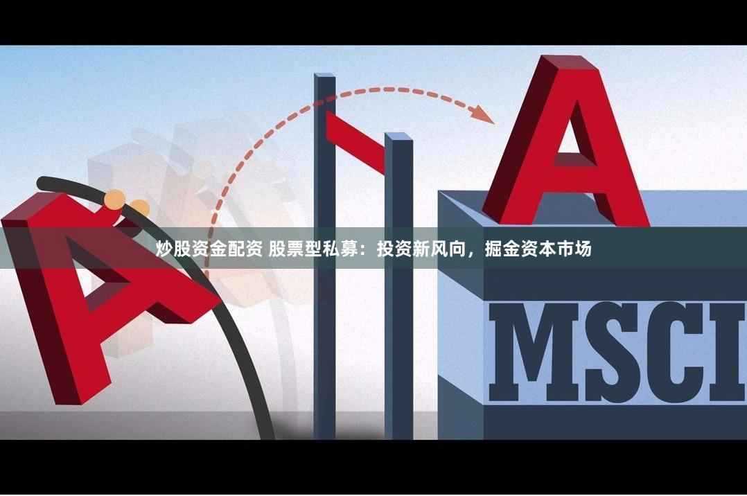 炒股资金配资 股票型私募：投资新风向，掘金资本市场